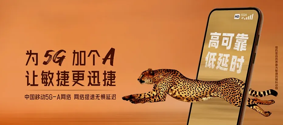 北湖区北湖区仰天湖瑶族乡 移动宽带