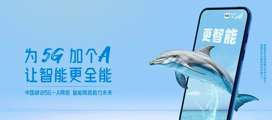 北湖区北湖区保和瑶族乡 移动宽带